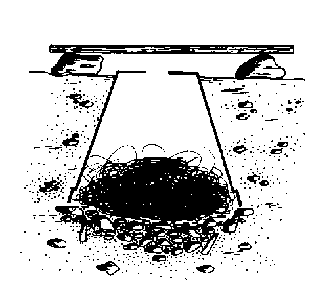 Nesttopf f�r Hummeln